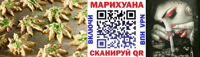закладки Боровичи Cannafood конопля
